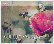 274.gif