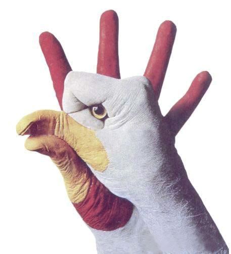 2975.jpg