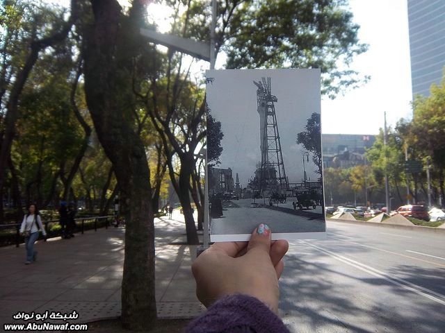 3114.jpg