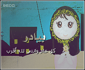 323.gif