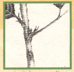 3237.jpg