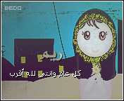336.gif
