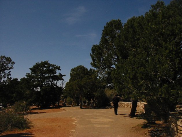 3538.jpg