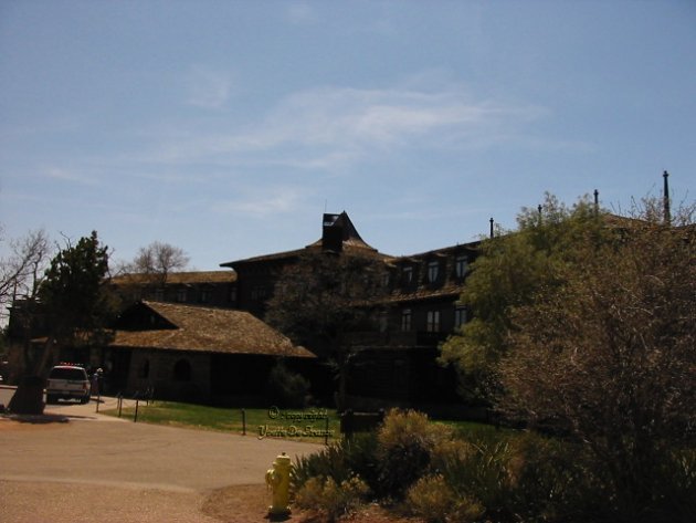 3541.jpg