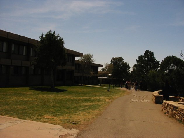 3545.jpg