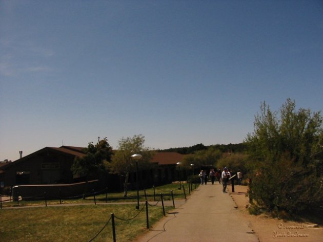 3549.jpg