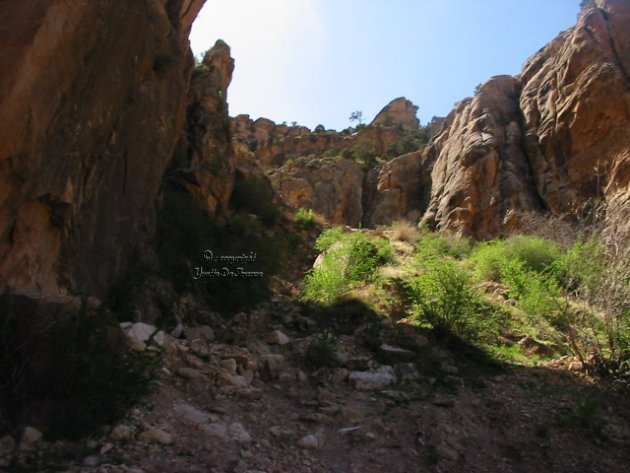 3569.jpg