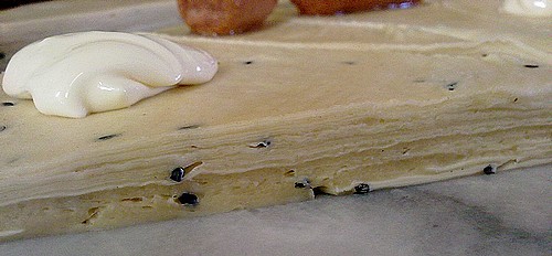 4316.jpg