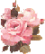 490.gif