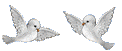 562.gif
