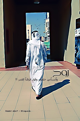 834.jpg