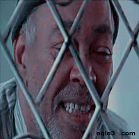 113.gif