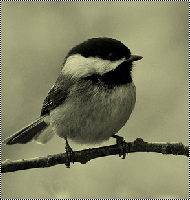 138.gif