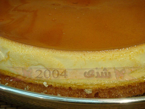 1786.jpg