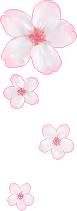 311.gif