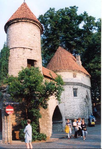 3545.jpg