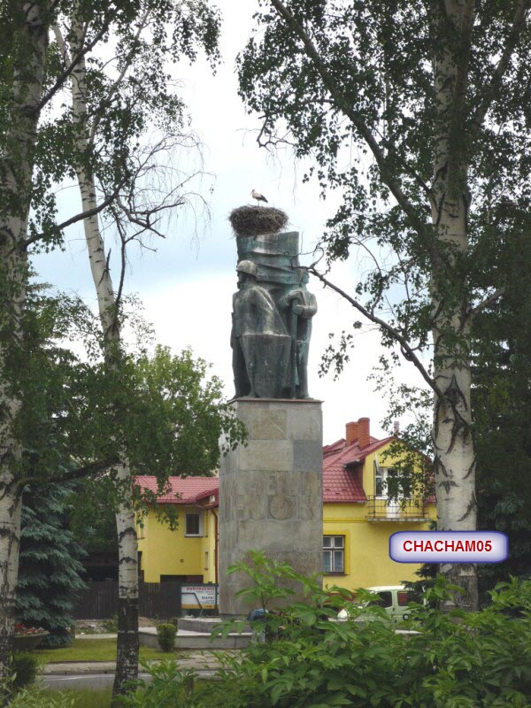3873.jpg