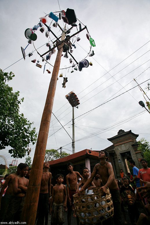 4005.jpg