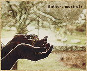 460.gif