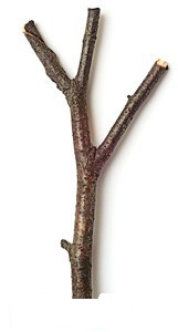 4678.jpg