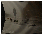 478.gif