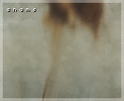 482.gif