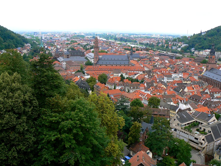 4865.jpg