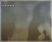 488.gif