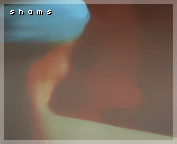 491.gif