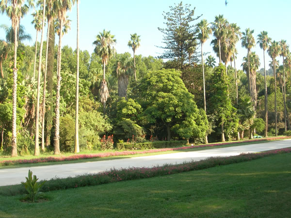 4915.jpg