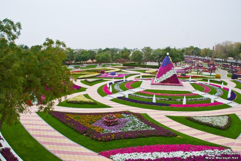 5130.jpg