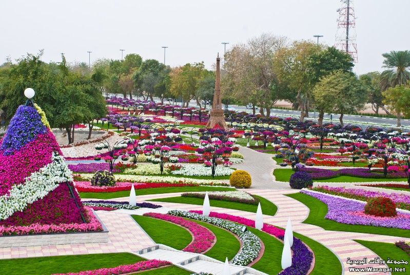 5131.jpg