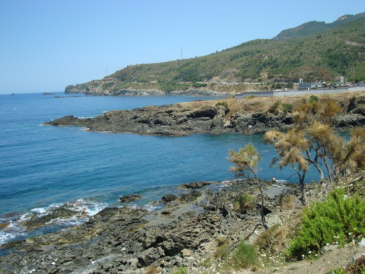 548.jpg
