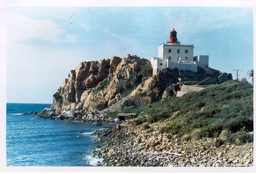 557.jpg