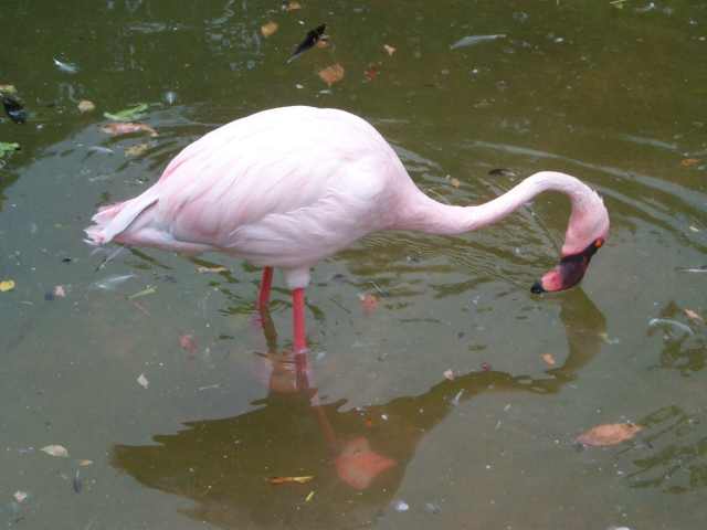 6563.jpg