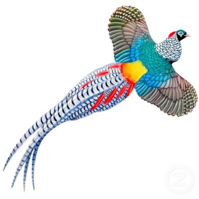 6598.jpg