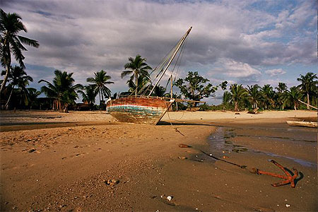 6645.jpg