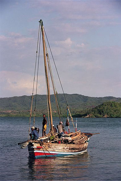 6651.jpg