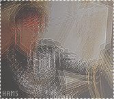 682.gif