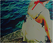683.gif