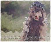 737.gif