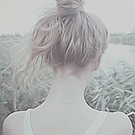 850.gif