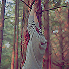 873.gif