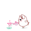 900.gif