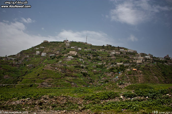 705.jpg