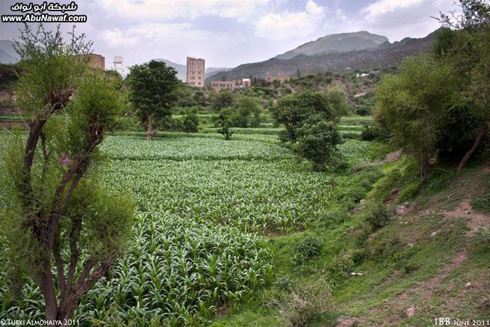 718.jpg