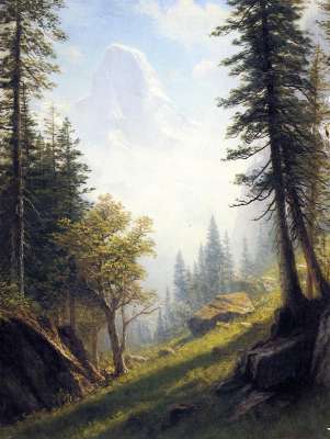 1729.jpg