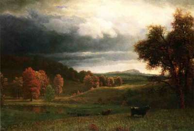 1731.jpg