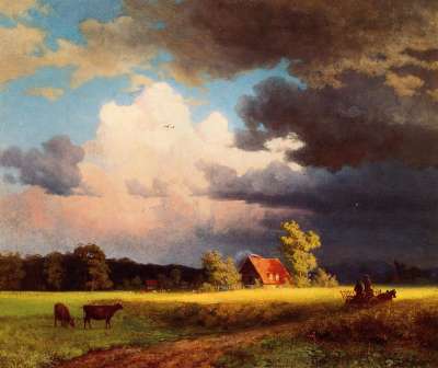 1736.jpg