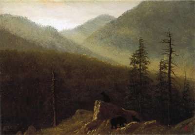 1738.jpg